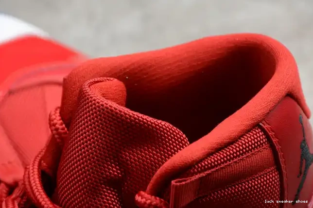 Rep LUCY Red RetroGym Air 378037-623 Jordan 11 0530